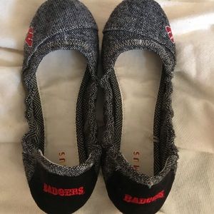 Promise WI Badger Flats